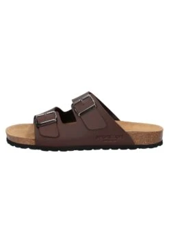 California B - Muiltjes - Brown