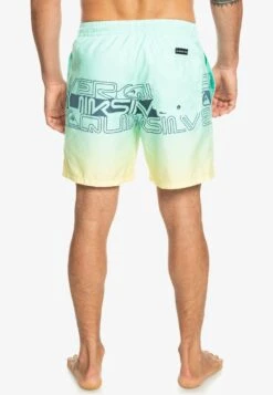 Quiksilver Everyday Wordblock Volley 17 - Zwemshorts - Beach Glass 8 Quiksilver Everyday Wordblock Volley 17 - Zwemshorts - Beach Glass -Herenmode 2d5bc11994db4f839fa6d11c24248df1