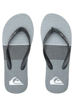 Quiksilver Molokai Tijuana- Pantoffels - Grey 7 Quiksilver Molokai Tijuana- Pantoffels - Grey -Herenmode 4bba36eaca0b47aebb4369d5d9153d8f