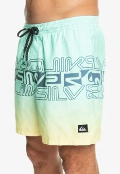 Quiksilver Everyday Wordblock Volley 17 - Zwemshorts - Beach Glass 9 Quiksilver Everyday Wordblock Volley 17 - Zwemshorts - Beach Glass -Herenmode 6e511147d8204d3baf32b1cd53434e8a