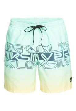 Quiksilver Everyday Wordblock Volley 17 - Zwemshorts - Beach Glass 11 Quiksilver Everyday Wordblock Volley 17 - Zwemshorts - Beach Glass -Herenmode a490fc0e06ca45bfbdd8cfe08fc8f6a3
