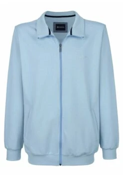 Sweater Met Rits - Hellblau -Herenmode d1e64ee841be4969aaddfa4e3c8bacd8