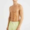 WE FASHION Zwemshorts - Green