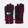 The North Face Denali Etip Glove Unisex - Handschoenen - Boysenberry