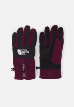 The North Face Denali Etip Glove Unisex - Handschoenen - Boysenberry