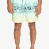 Quiksilver Everyday Wordblock Volley 17 - Zwemshorts - Beach Glass